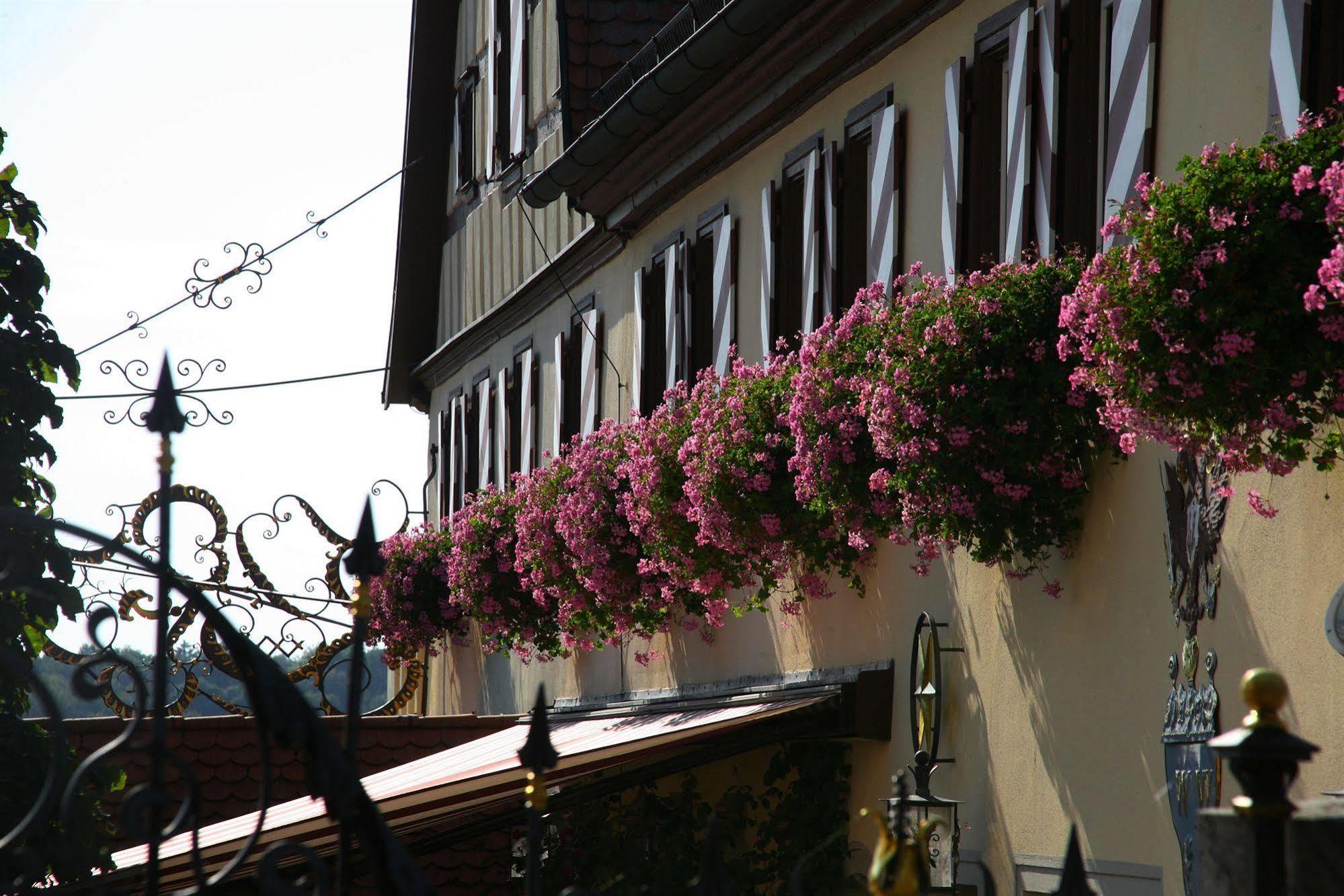 Hotel Brauereigasthof Landwehr-Braeu Reichelshofen Exteriör bild